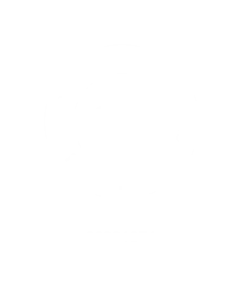 Registered BAS Agent Logo Business By Numbers Pty Ltd